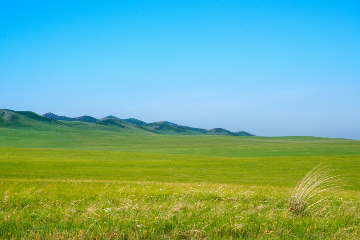 Ulanbutong Grassland